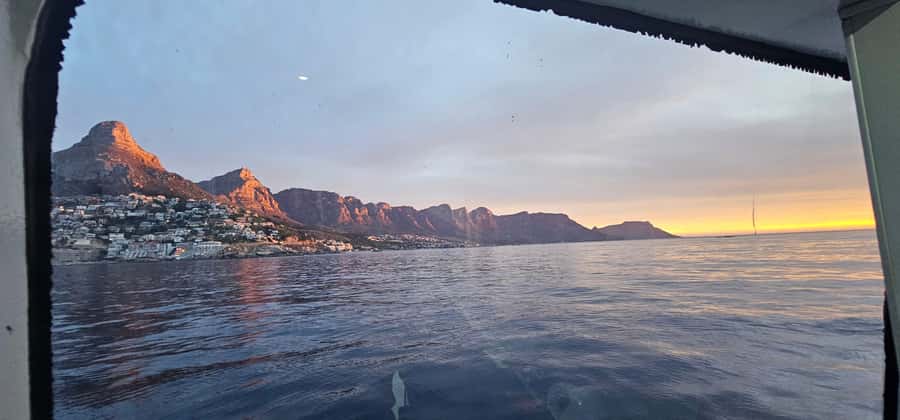 Cape Town: Ocean Safari 1 Hour - Who should book this ocean safari?