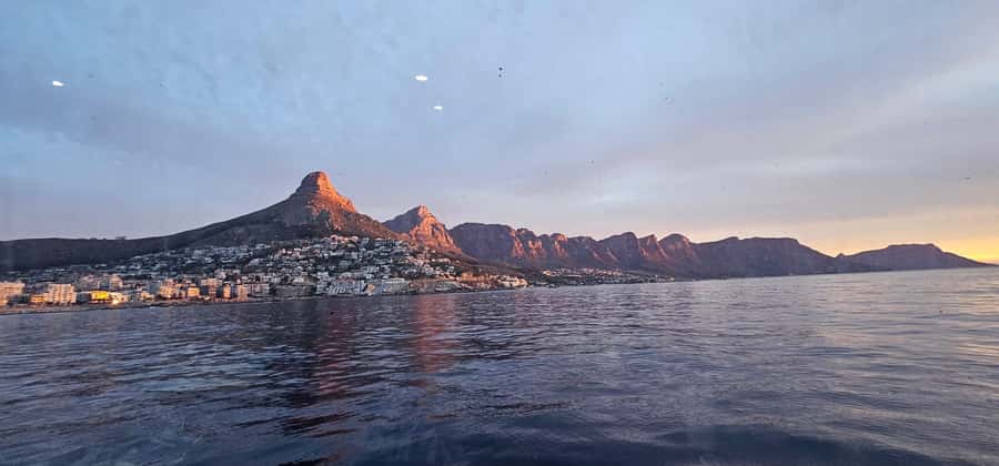 Cape Town: Ocean Safari 1 Hour - Practical tips for a better ride
