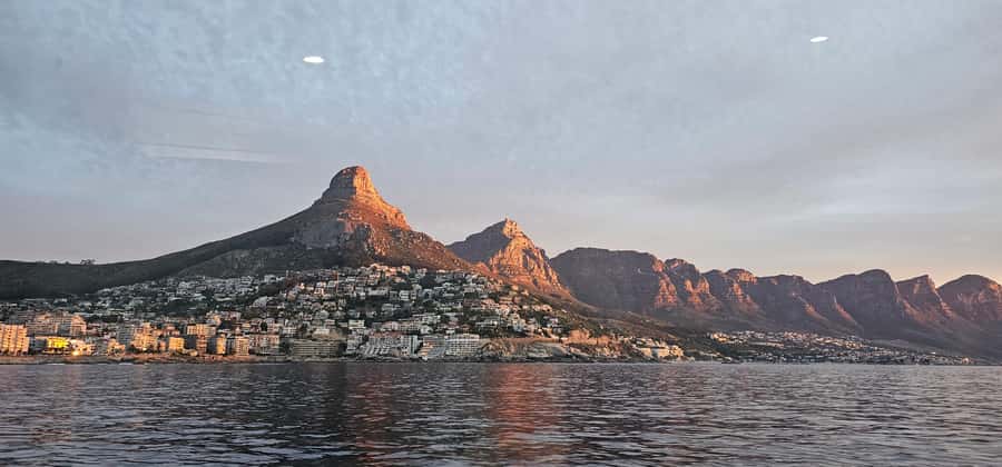 Cape Town: Ocean Safari 1 Hour - Should you book the Cape Town Ocean Safari?