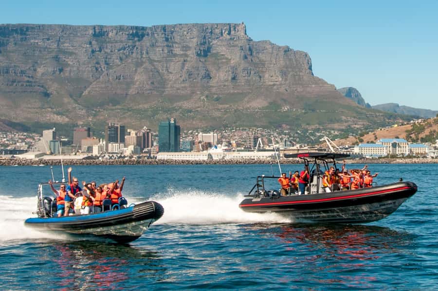 Cape Town Ocean Safari: Speed Boat Adventure in Table Bay - Key points before you book