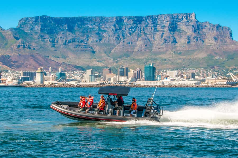 Cape Town Ocean Safari: Speed Boat Adventure in Table Bay - Slowing down to search for marine life