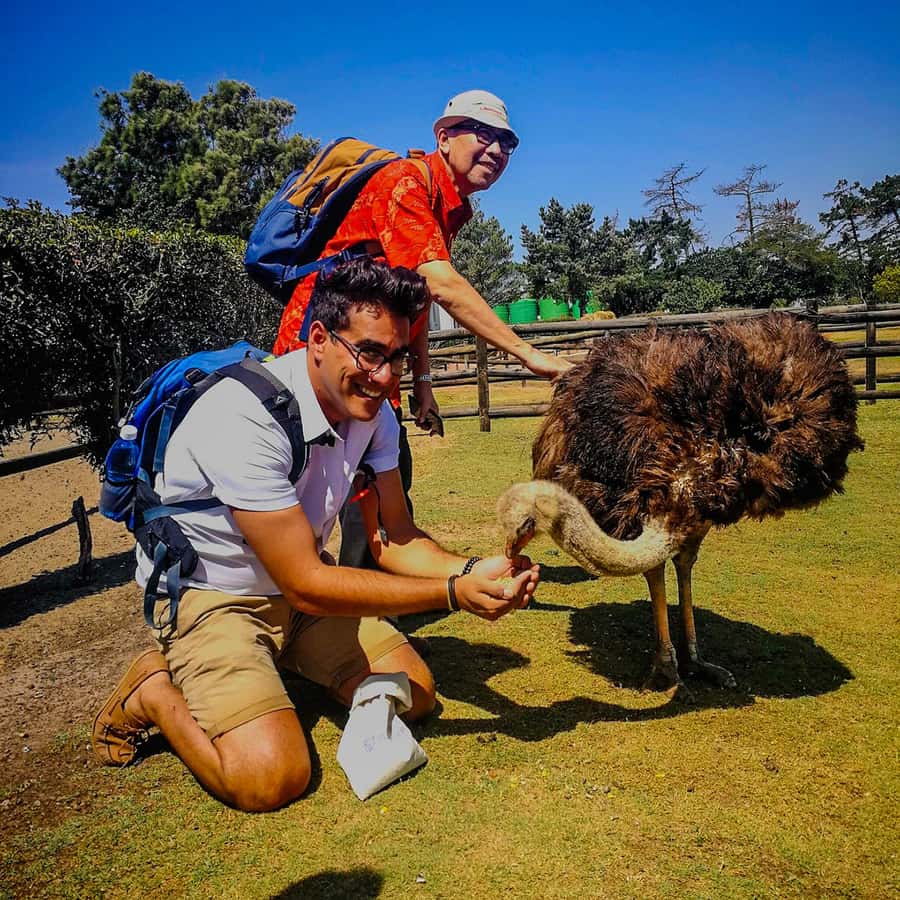 CAPE TOWN: OSTRICH RANCH QUAD BIKE RIDE & OSTRICH TOUR - What the two-hour visit is meant to offer
