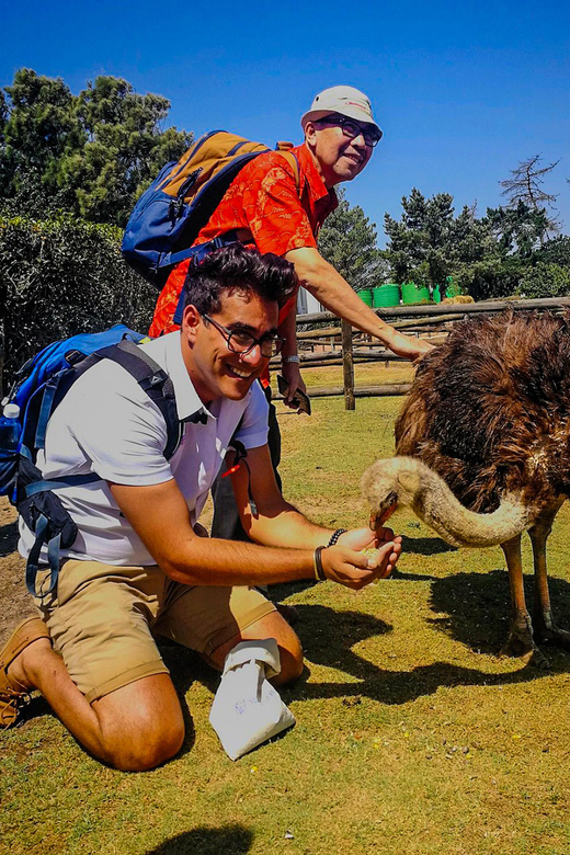 CAPE TOWN: OSTRICH RANCH QUAD BIKE RIDE & OSTRICH TOUR - How much value does the $62 price offer?