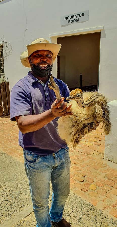 CAPE TOWN: OSTRICH RANCH QUAD BIKE RIDE & OSTRICH TOUR - The quad ride: dusty tracks, uneven ground, and wide views