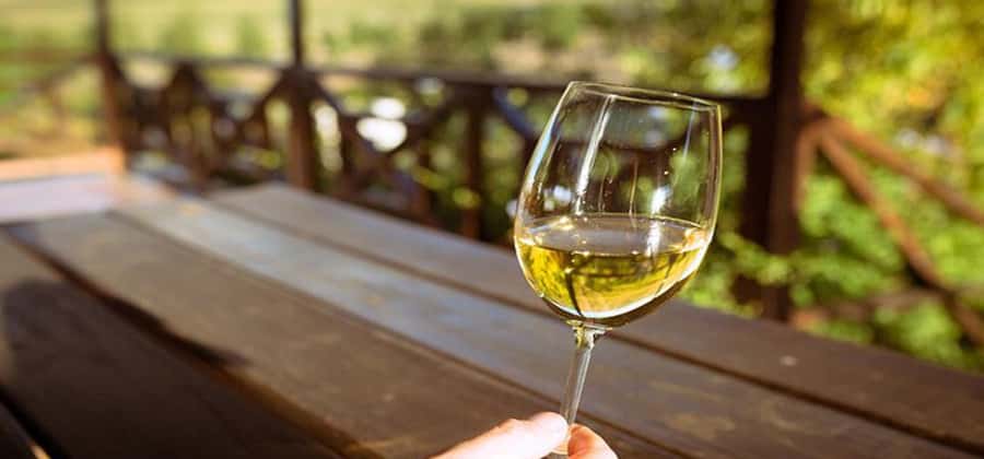 Cape Town: Paarl, Stellenbosch and Franschhoek Wine Tour - Stellenbosch tasting with mountain views