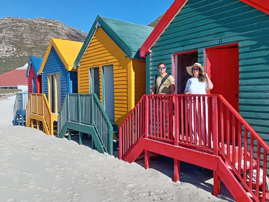 Cape Town: Penguin Watching at Boulders Beach Half Day Tour - Chapmans Peak Drive and coastal viewpoints