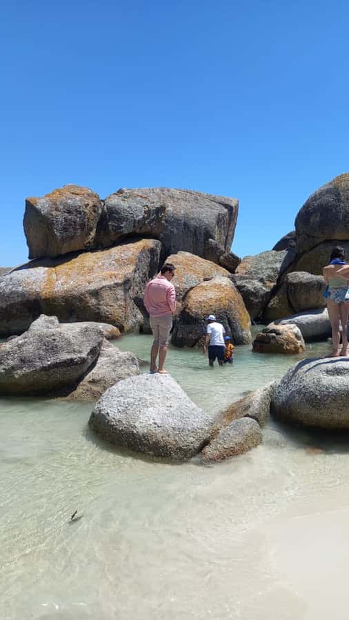Cape Town: Penguin Watching at Boulders Beach Half Day Tour - The morning route from Cape Town