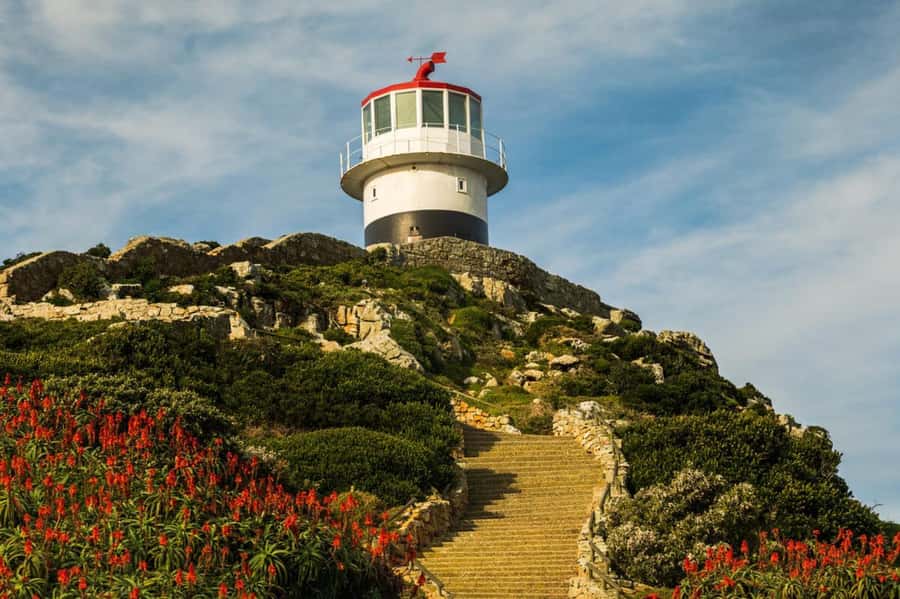 Cape Town: Penguins & Cape of Good Hope Day Tour with Pickup - Transport, group size, and the pace