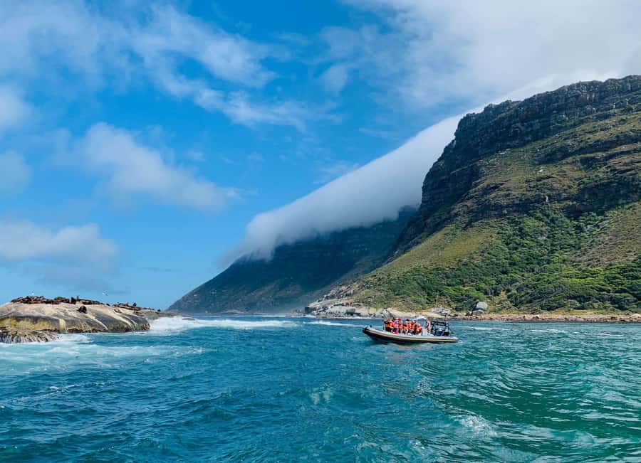 Cape Town: Penguins & Cape of Good Hope Day Tour with Pickup - Starting early from Cape Town