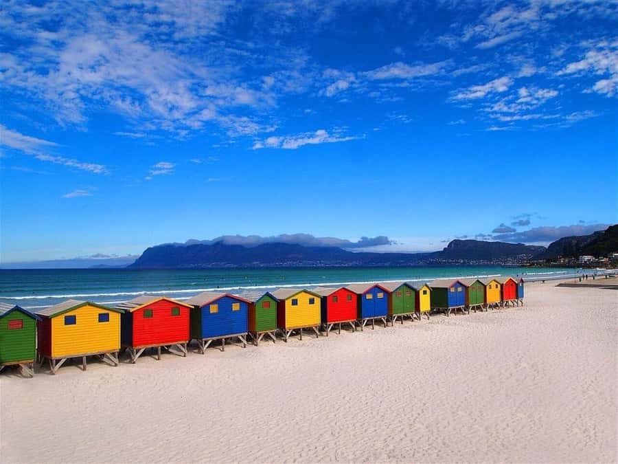 Cape Town: Penguins & Cape of Good Hope Half-Day Tour - Why this half-day route works