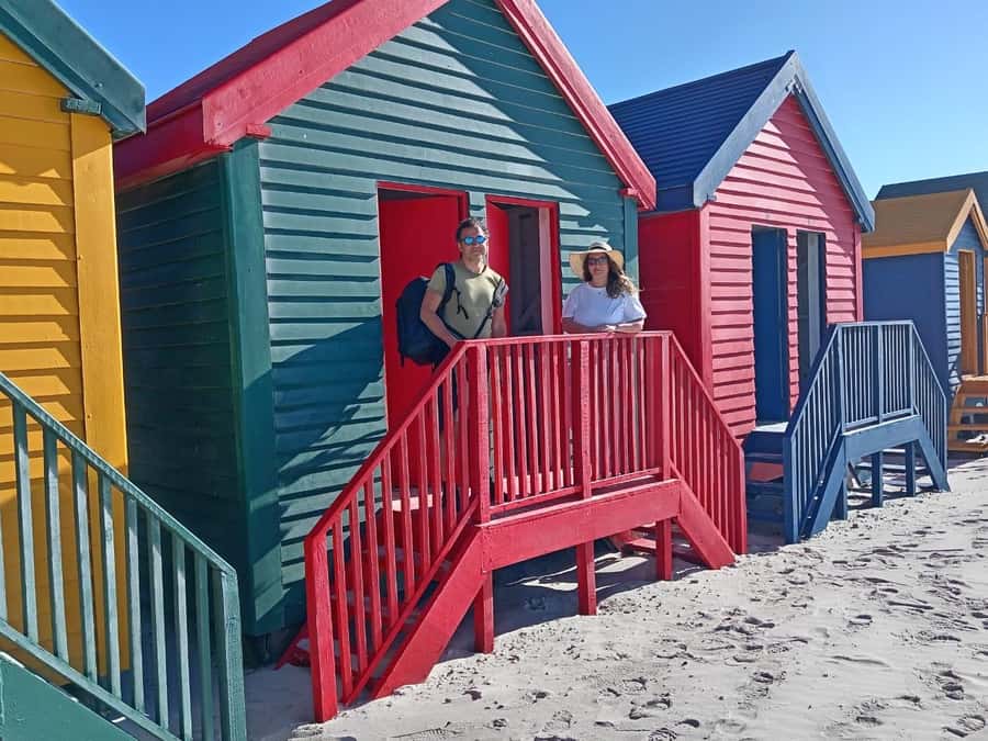 Cape Town: Penguins & Cape of Good Hope Half-Day Tour - Cape of Good Hope: cliffs, fynbos, and open sea