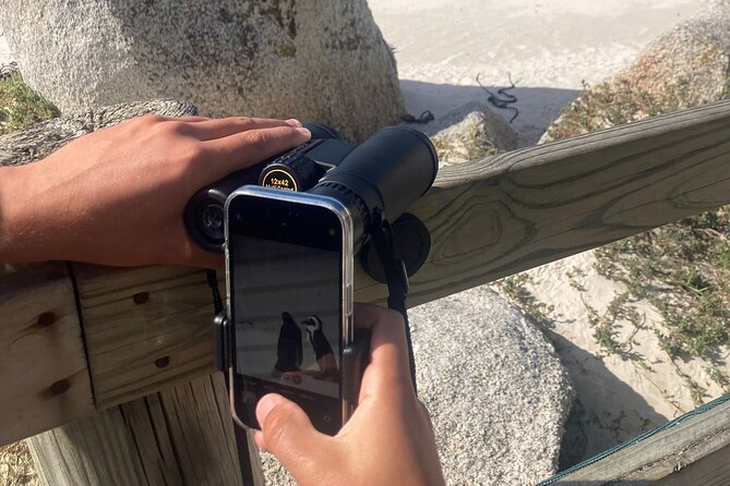 Cape Town: Peninsula, Cape of Good Hope and Penguins Tour - Boulders Beach and the African penguins