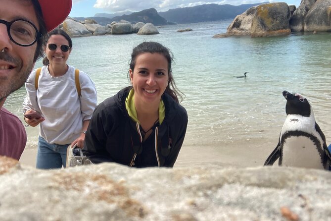 Cape Town: Peninsula, Cape of Good Hope and Penguins Tour - Two hours at Cape Point Nature Reserve