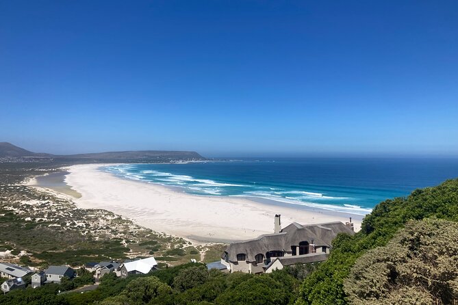 Cape Town: Peninsula, Cape of Good Hope and Penguins Tour - Who will enjoy this Cape Town day trip?