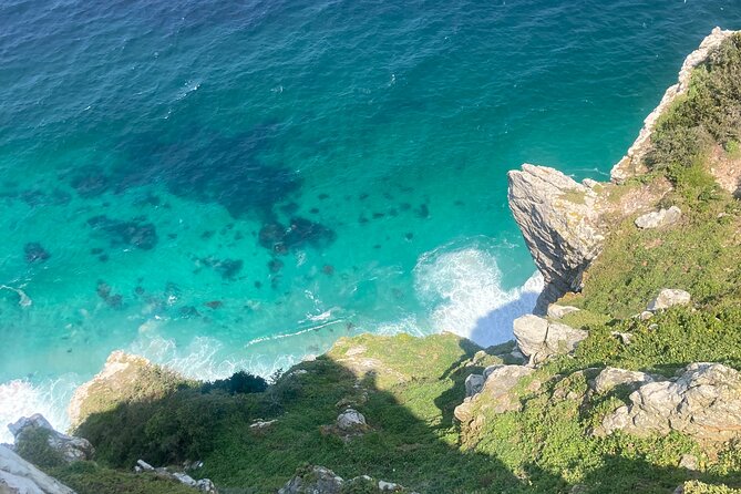Cape Town: Peninsula, Cape of Good Hope and Penguins Tour - Camps Bay in 15 minutes