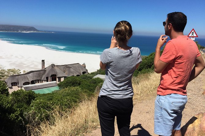 Cape Town Peninsula Day Tour ( Cape Point/Boulders/Wine Tasting) - One Day Along Cape Town’s Atlantic Edge