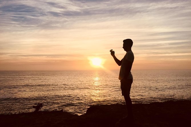 Cape Town Peninsula Day Tour ( Cape Point/Boulders/Wine Tasting) - Who Will Like This Cape Peninsula Day