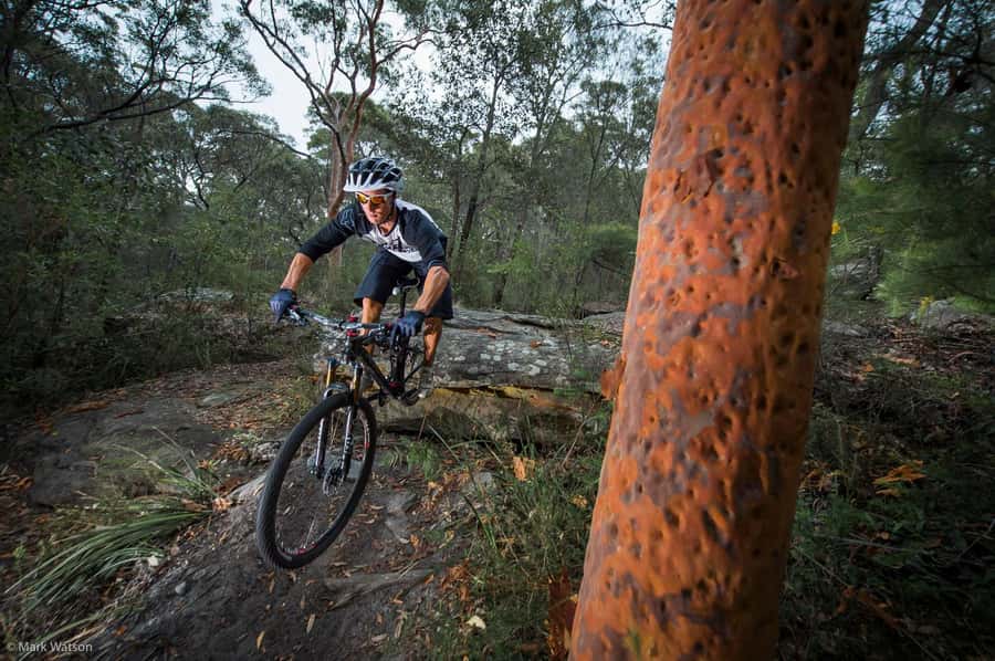 Cape Town: Peninsula Private Mountain Bike Tour with Ex-Pro - Key points at a glance
