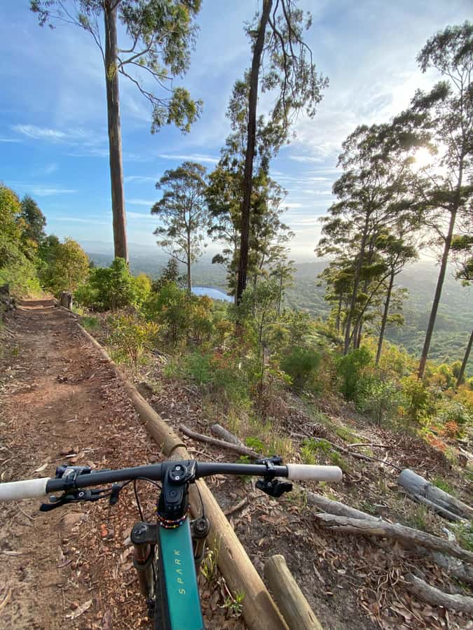 Cape Town: Peninsula Private Mountain Bike Tour with Ex-Pro - What the $95 price really covers