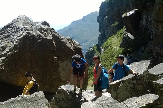 Cape Town: Platteklip Gorge Half-Day Hike on Table Mountain - The cableway return is the key planning detail
