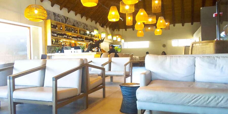 Cape Town: Private Aquila Reserve Safari with Winery Lunch - Who will enjoy this Aquila day trip