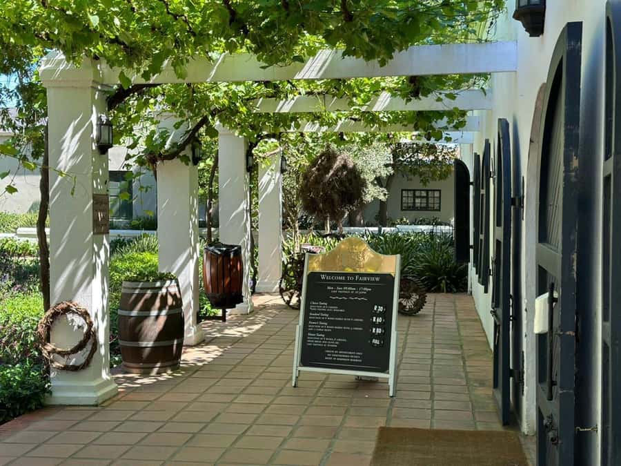 Cape town: Private Full-day Big 5 Aquila Game Reserve Tour - What the wildlife experience can and cannot promise