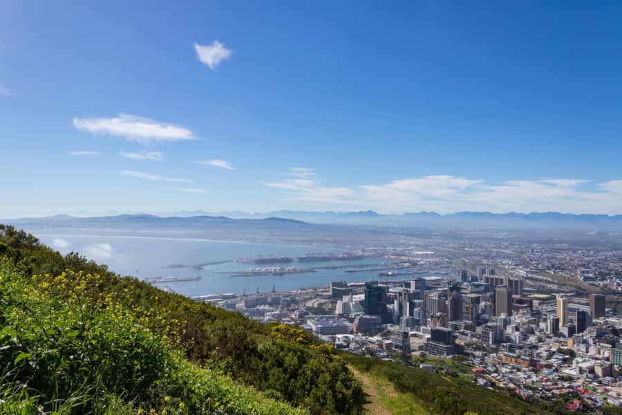 Cape Town: Private Full Day City & Winelands Tour - Company’s Garden and the city’s quieter center