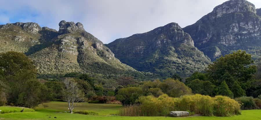 Cape Town: Private Full Day City & Winelands Tour - Guide languages and the value of a private group