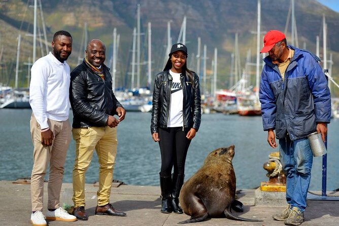 Cape Town Private Group Tour to Cape of Good Hope and Boulders Penguins Colony - Cape of Good Hope and the Cape Point reserve