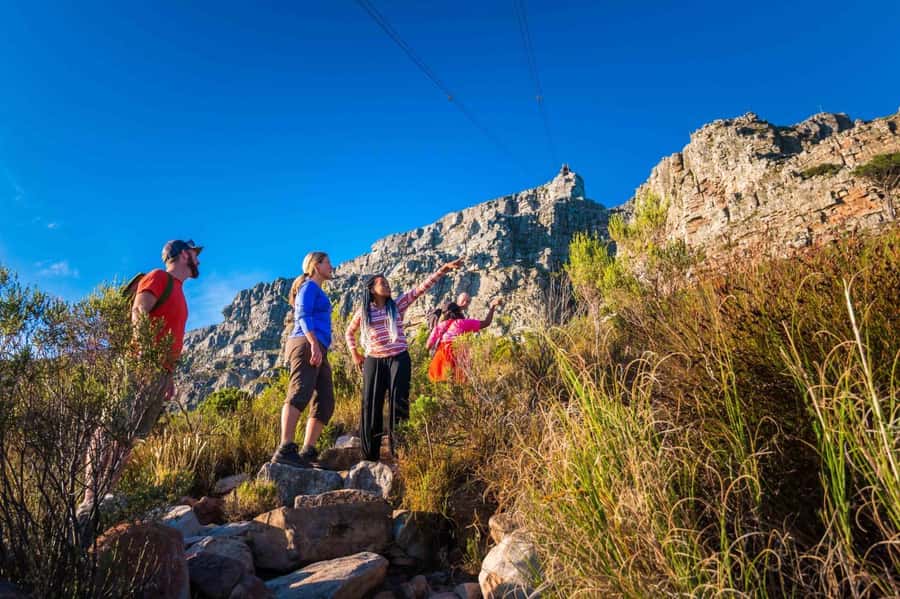 Cape Town Private Guided Table Mountain Hikes - Key points to know before you book