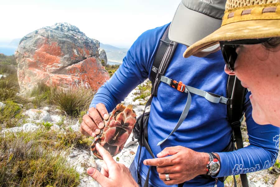 Cape Town Private Guided Table Mountain Hikes - Choosing between six very different mountain routes