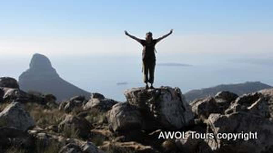 Cape Town Private Guided Table Mountain Hikes - Views, pauses, and the picnic lunch