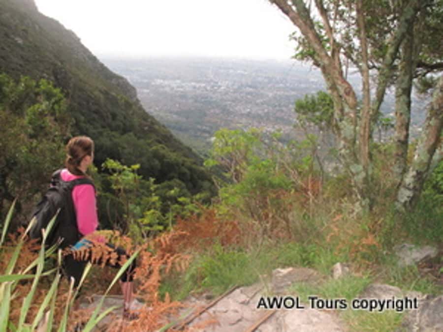 Cape Town Private Guided Table Mountain Hikes - Who should book this hike?