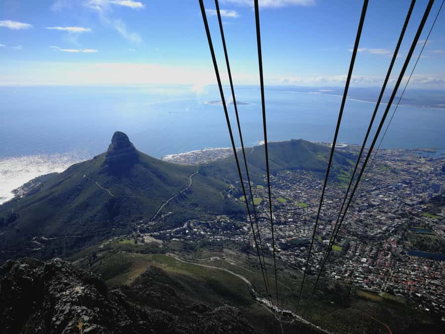 Cape Town: Private Half Day City Tour - A Vehicle Route Through Cape Town’s Center