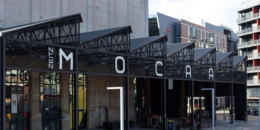 Cape Town: Private Half Day City Tour - What the Private Format Really Adds
