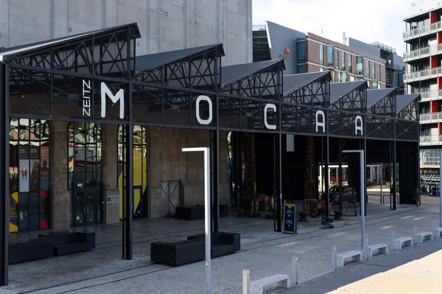 Cape Town: Private Half Day City Tour - Company Gardens Offer a Pause