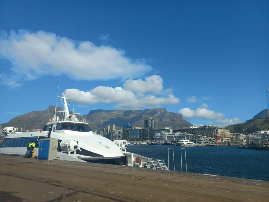 Cape Town: Private Robben Island Half-Day Tour with Pickup - What the private element really includes