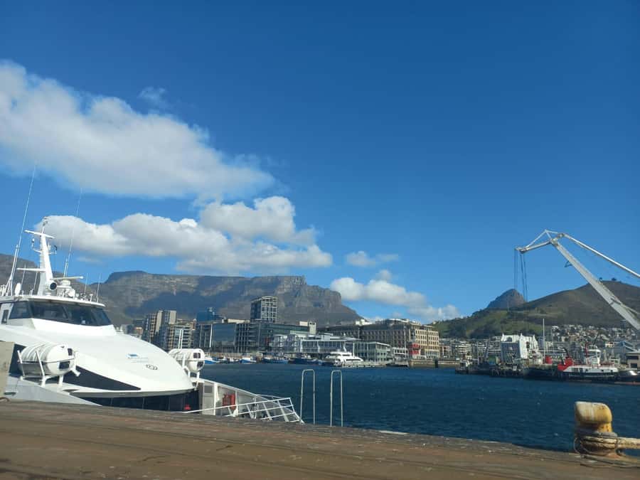 Cape Town: Private Robben Island Half-Day Tour with Pickup - Should you book this Robben Island tour?