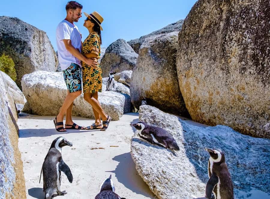 Cape Town Private Tour to Cape Of Good Hope and the Penguins - Hout Bay gives you a genuine choice
