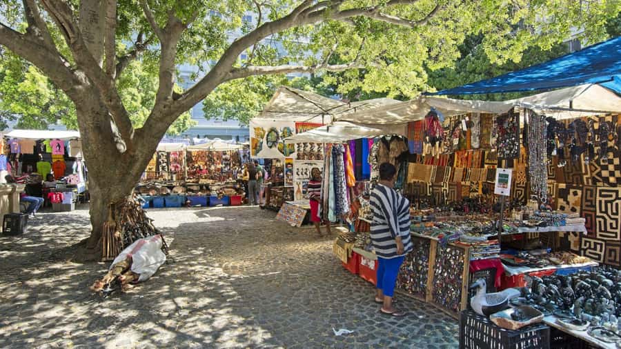 Cape Town Private Tour with a Local Highlights & Hidden Gems - Company’s Garden, St. George’s Cathedral, and the city center