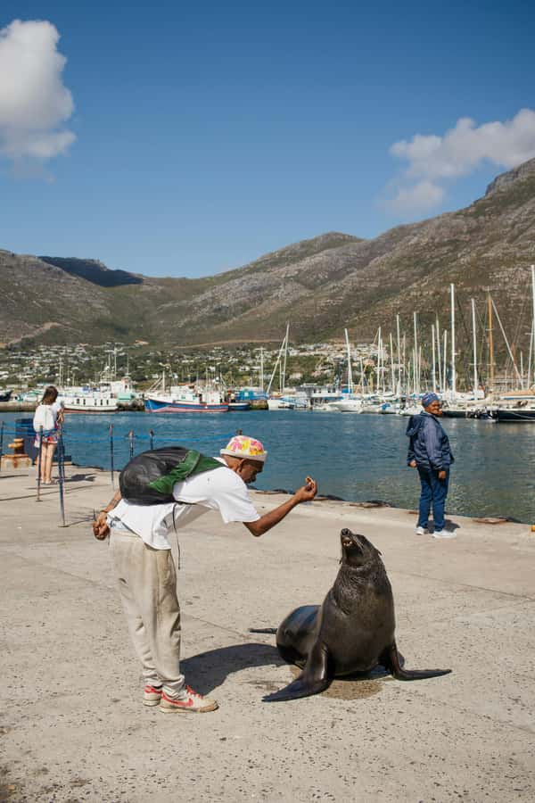 Cape Town: Private Tour with Customizable Itinerary - City sights from Camps Bay to the V&A Waterfront