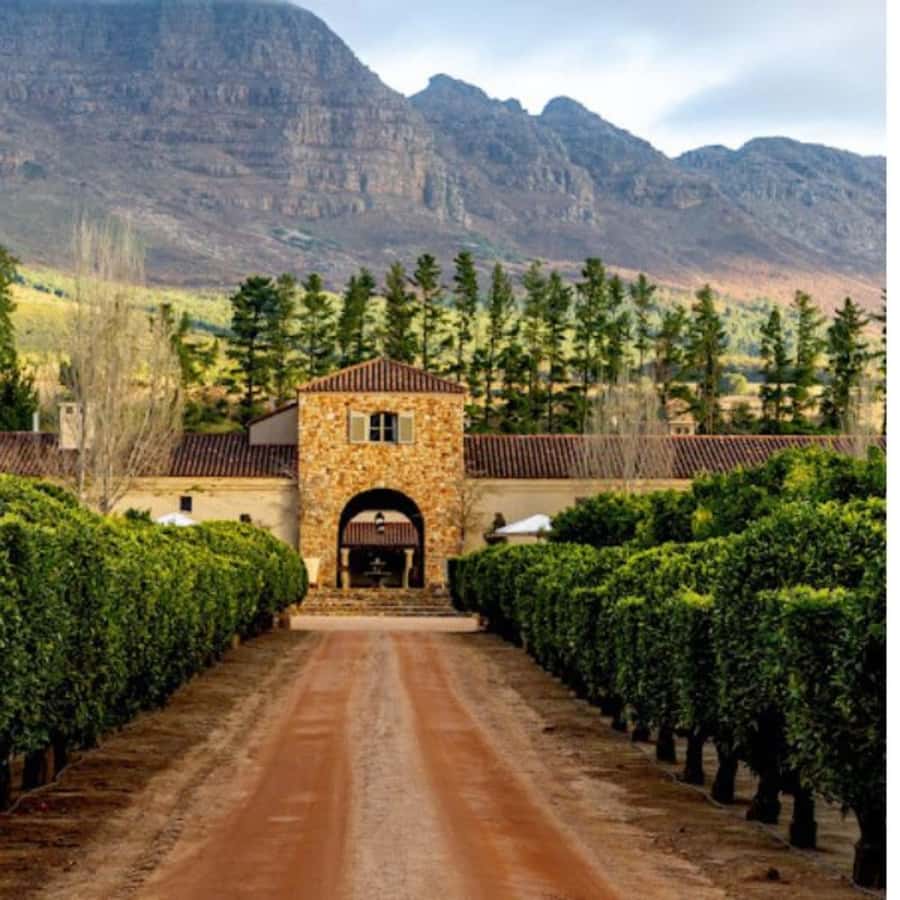 Cape Town: Private Wine Tour with Tastings and Lunch - Key points at a glance