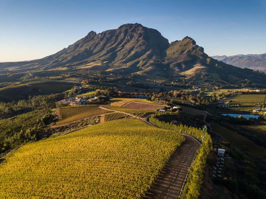 Cape Town: Private Wine Tour with Tastings and Lunch - Delaire Graff brings a second estate setting