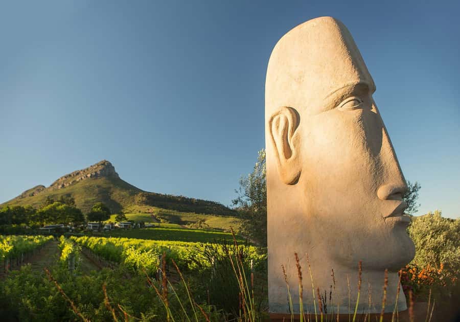 Cape Town: Private Wine Tour with Tastings and Lunch - A full day across Stellenbosch and Franschhoek