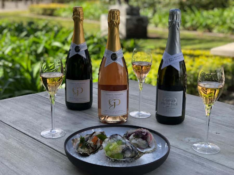 Cape Town: Private Wine Tour with Tastings and Lunch - Who should choose this tour