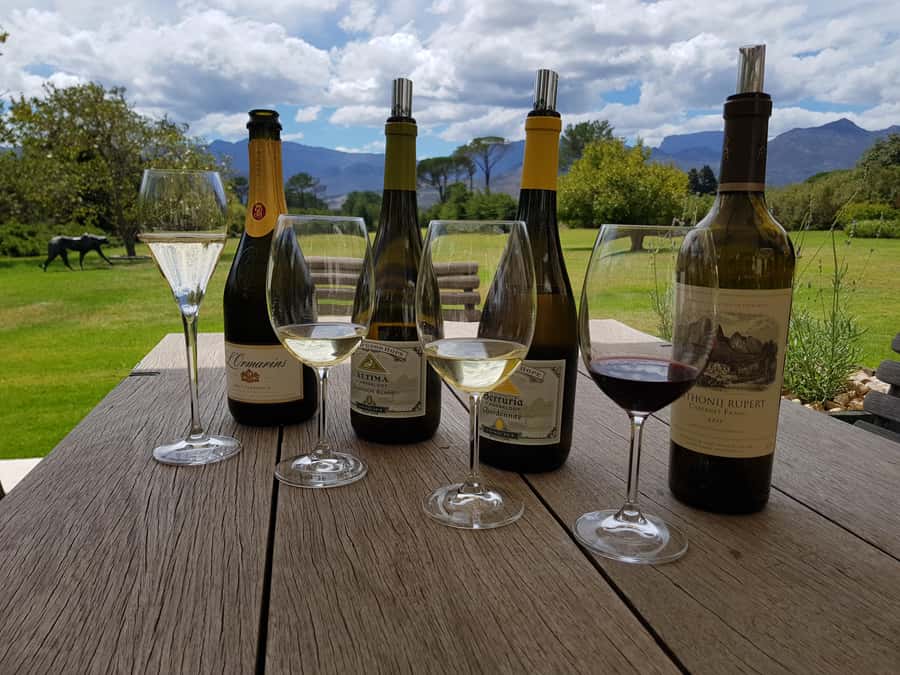 Cape Town: Private Wine Tour - Groot Constantia: history before the first glass