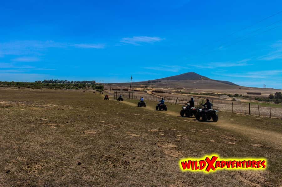 CAPE TOWN: QUAD BIKE FUN RIDE AT OSTRICH RANCH, DURBANVILLE - Getting ready inside Cape Town Ostrich Ranch