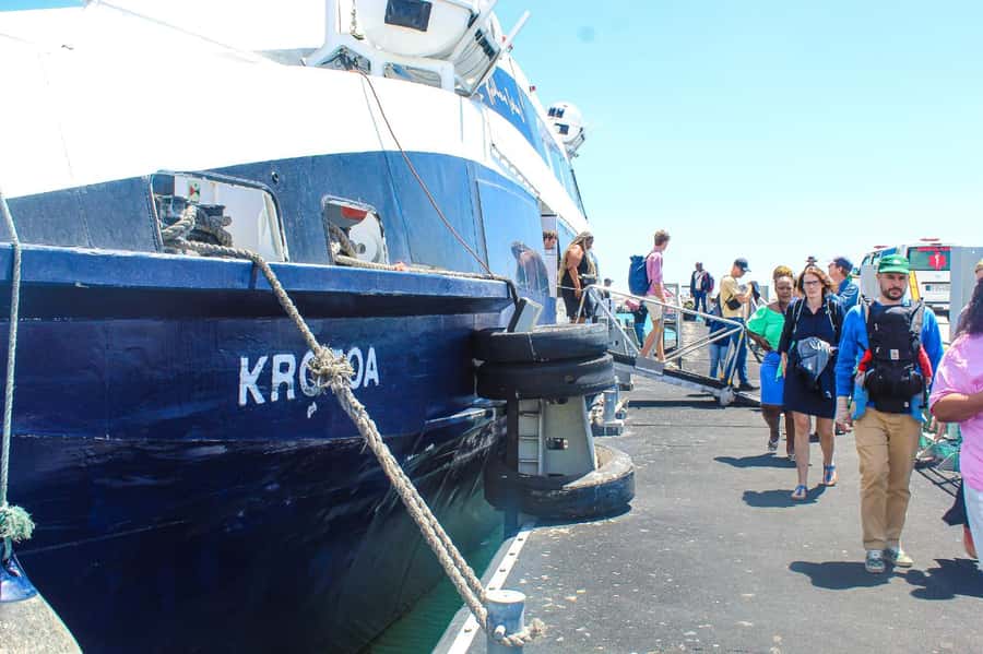 Cape Town: Robben Island ferry ticket plus Guided Tour - Why Robben Island deserves half a day