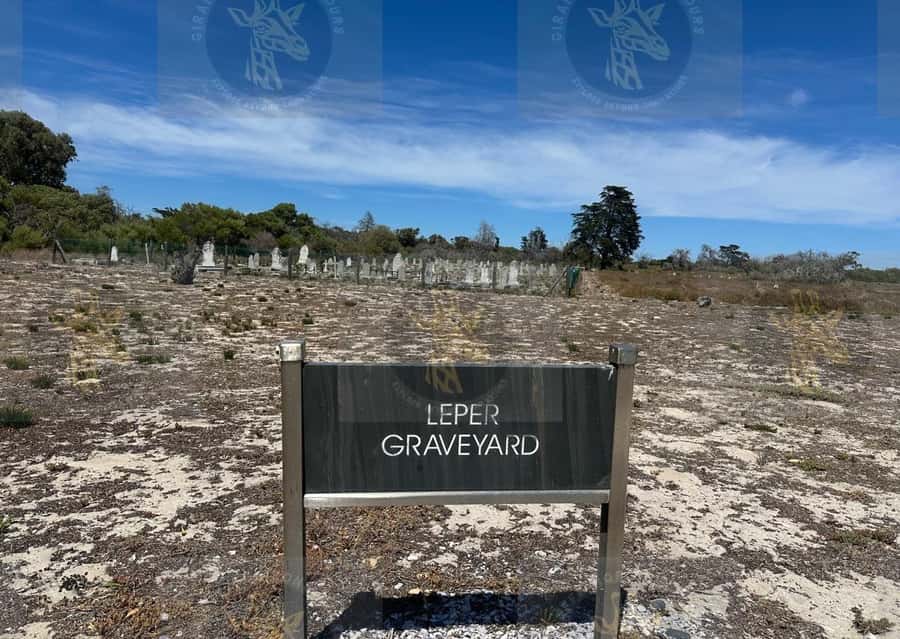 Cape Town: Robben Island Ferry with Prison Ticket and Tour - Key points to know before you book