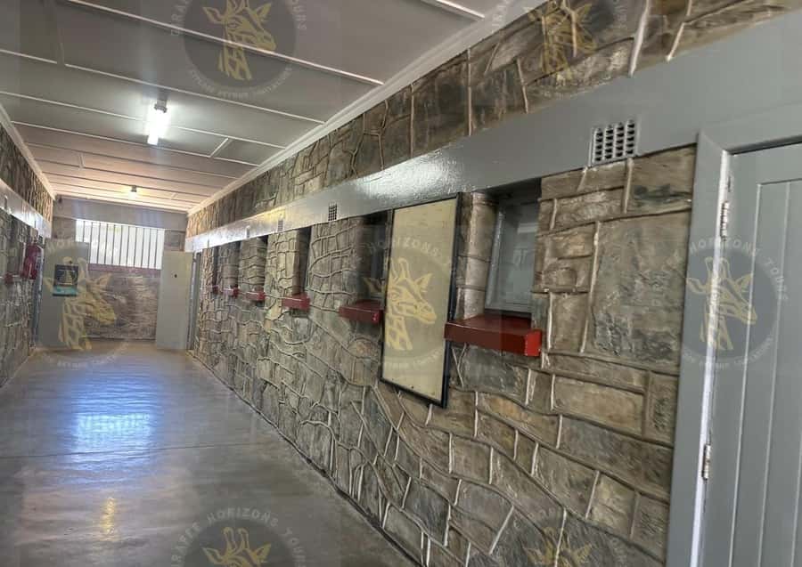 Cape Town: Robben Island Ferry with Prison Ticket and Tour - Seeing Robben Island by bus